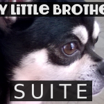 My Little Brother (SUITE) - uso-privato