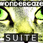 Wondergaze (SUITE) - licenza-standard-sfm