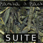 Bancha is Back (SUITE) - uso-privato