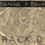 Bancha is Back (02) - licenza-pro