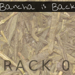 Bancha is Back (02) - uso-privato