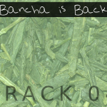 Bancha is Back (04) - uso-privato