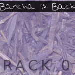Bancha is Back (07) - uso-privato