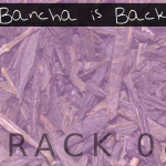Bancha is Back (08) - uso-privato