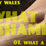 What A Shame (01 - What A Shame) - uso-privato