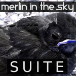 Merlin in the Sky (SUITE) - uso-privato