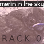 Merlin in the Sky (01) - uso-privato