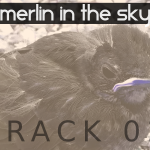 Merlin in the Sky (02) - uso-privato