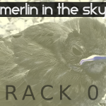 Merlin in the Sky (03) - uso-privato
