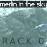 Merlin in the Sky (05) - uso-privato