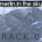 Merlin in the Sky (06) - uso-privato