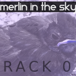 Merlin in the Sky (07) - uso-privato
