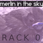 Merlin in the Sky (08) - uso-privato