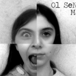 Homologator (01 - Sensitive Machine) - uso-privato
