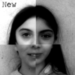 Homologator (02 - The New Order) - uso-privato