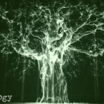 Dendrology (04) - uso-privato