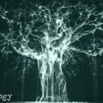 Dendrology (05) - uso-privato