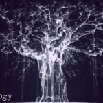 Dendrology (07) - uso-privato