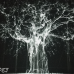 Dendrology (10) - uso-privato