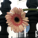 Inside (SUITE) - uso-privato