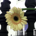 Inside (01) - uso-privato