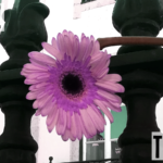 Inside (03) - uso-privato