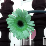 Inside (07) - uso-privato