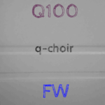 Q100 (07 - Q-Choir) - uso-privato
