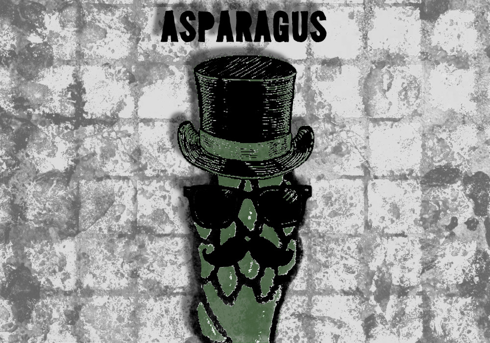 Asparagus, la fusione perfetta tra Rock Progressivo e Rock Elettronico è online!!!
